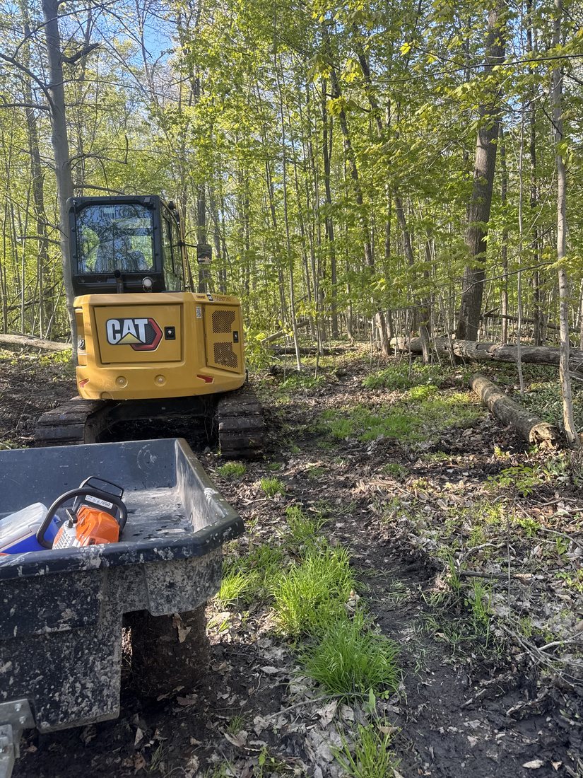 Excavator and clearing equipment working in a wooded area